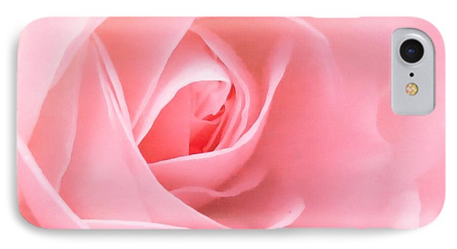 Pink-rose-bloom iPhone 8 Case featuring the photograph Donation Rose by Scott Cameron