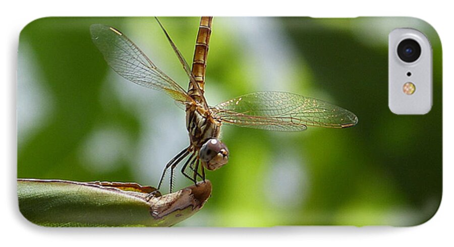  iPhone 8 Case featuring the photograph Dragonfly by Janina Suuronen