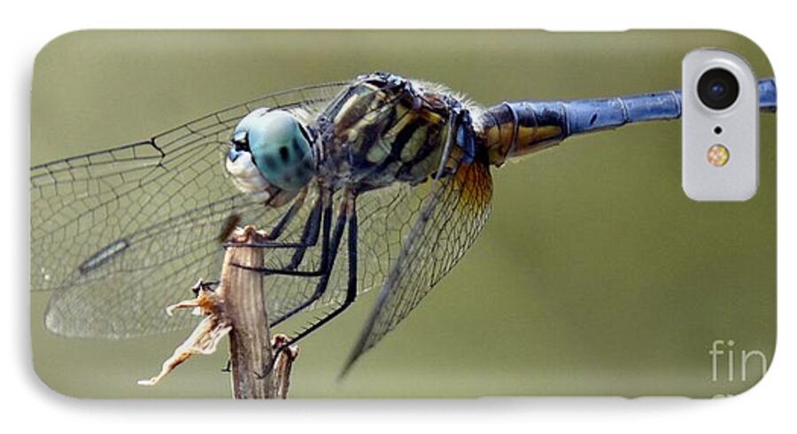 Dragonfly iPhone 8 Case featuring the photograph Dragonfly Smile by Lilliana Mendez