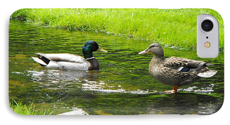 Duck iPhone 8 Case featuring the photograph Duck Couple by Erick Schmidt