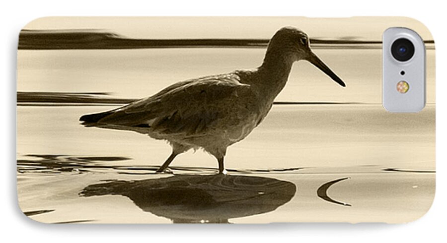 Gaviota iPhone 8 Case featuring the photograph Early Morning in the Moss Landing Harbor Picture of a Willet by Artist and Photographer Laura Wrede