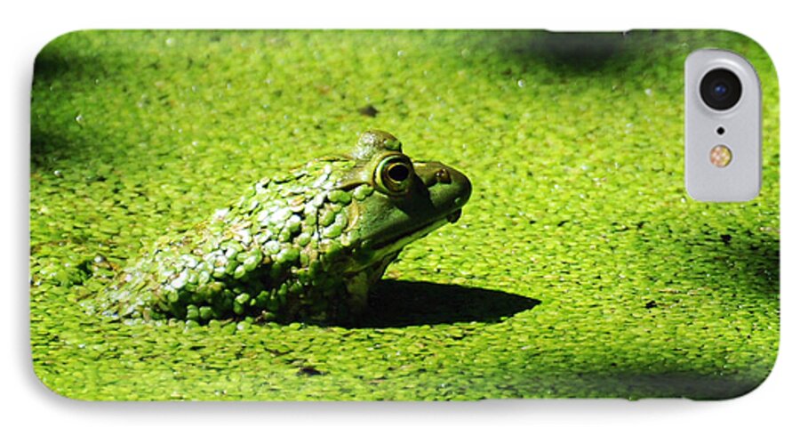 Green iPhone 8 Case featuring the photograph Easy Being Green by Rebecca Sherman