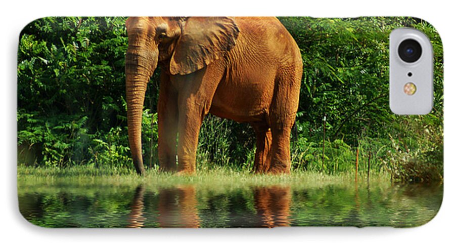 Elephant iPhone 8 Case featuring the photograph Elephant The Giant by M Three Photos