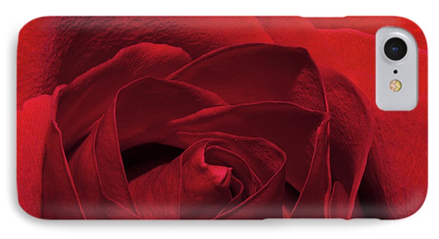 Rose iPhone 8 Case featuring the photograph Enveloped In Red by Phyllis Denton