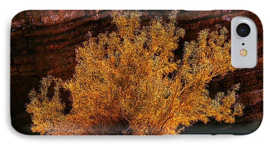 December iPhone 8 Case featuring the photograph Every Common Bush by Jeremy McKay