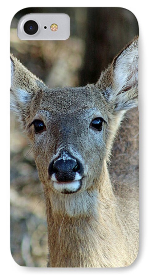 Deer iPhone 8 Case featuring the photograph Face To Face by Lorna Rose Marie Mills DBA Lorna Rogers Photography