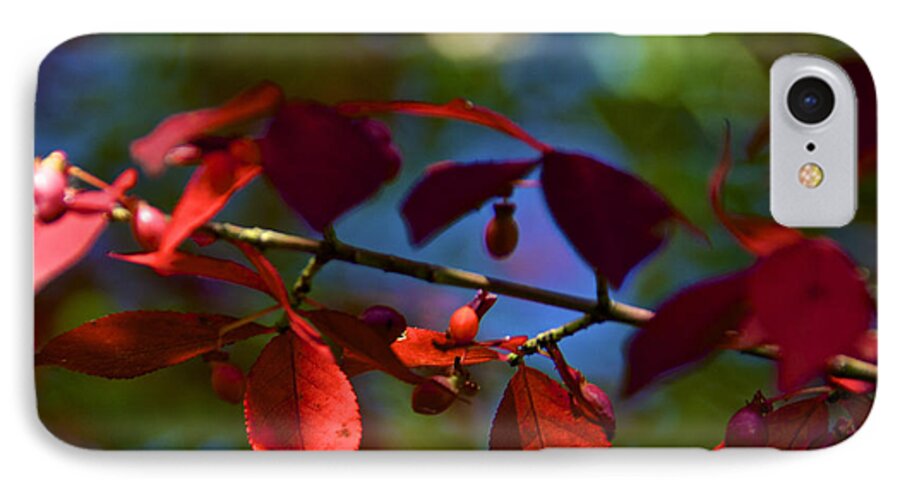 Autumn iPhone 8 Case featuring the photograph Fall Bokeh by Kathi Isserman