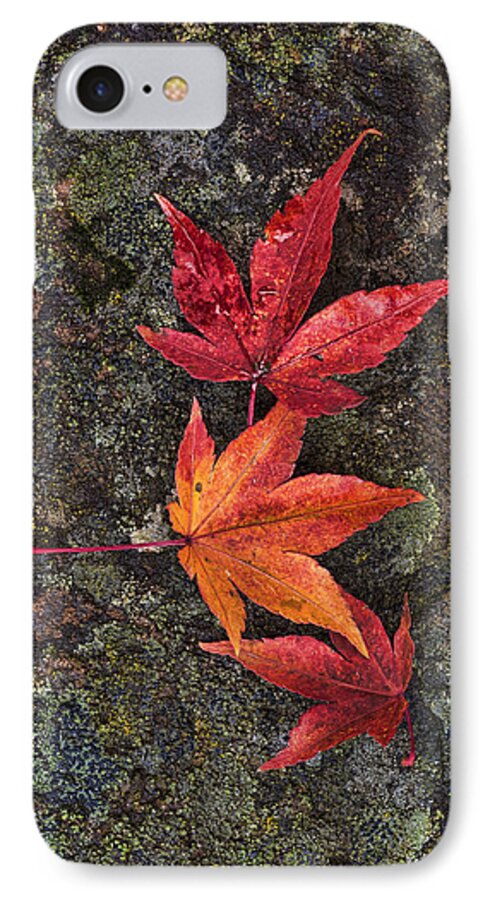 Red iPhone 8 Case featuring the photograph Fall Colors by Paul DeRocker