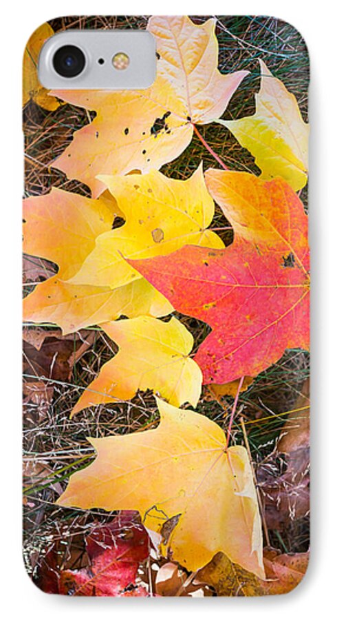 Fall Colors iPhone 8 Case featuring the photograph Fallen Leaves by Jatin Thakkar