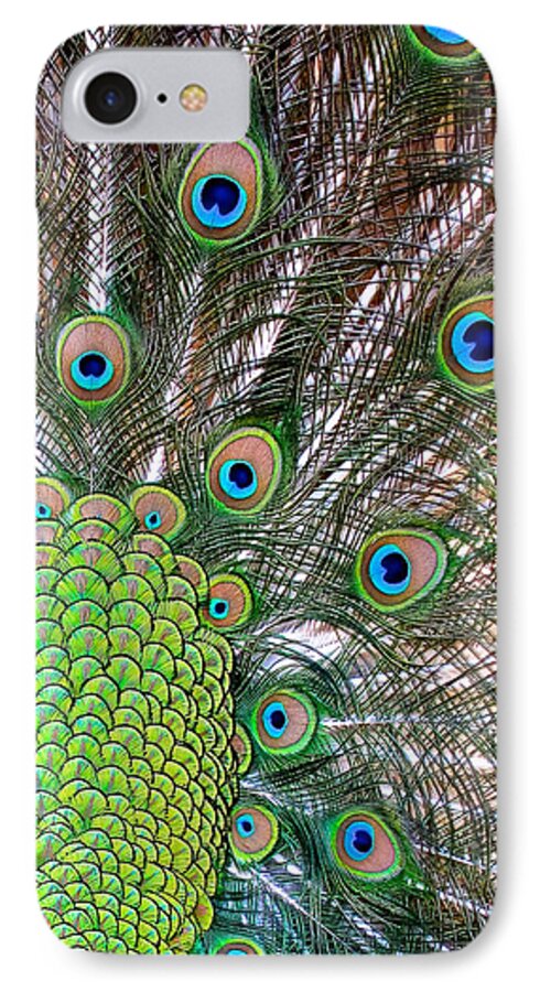 Peacock iPhone 8 Case featuring the photograph Fans And Eyes by Pat Exum