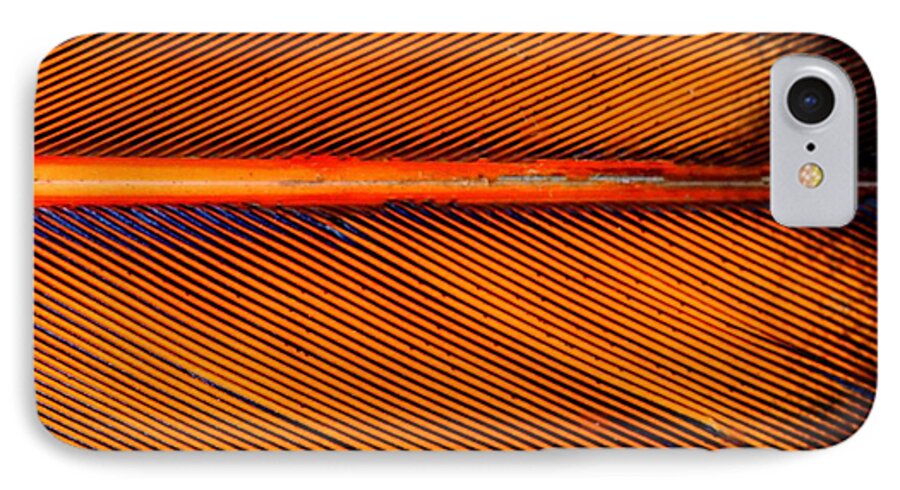 Hdr iPhone 8 Case featuring the photograph Feather of a Flicker by Scott Carlton