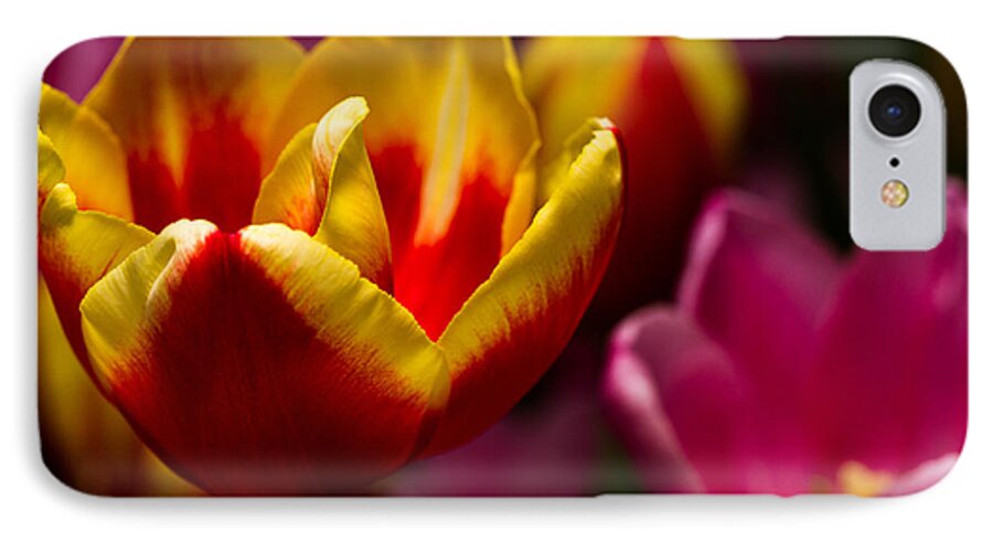 Tulips iPhone 8 Case featuring the photograph Finally Spring by Haren Images- Kriss Haren