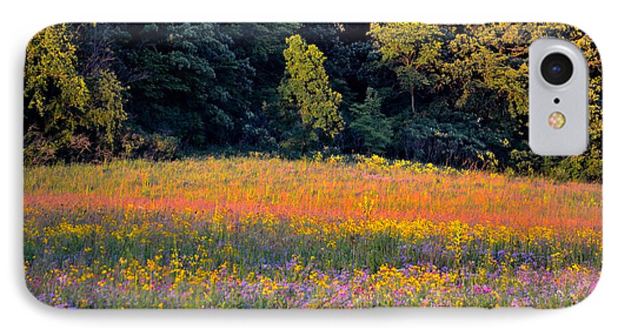 Valley iPhone 8 Case featuring the photograph Flowers in the Meadow by Deb Halloran