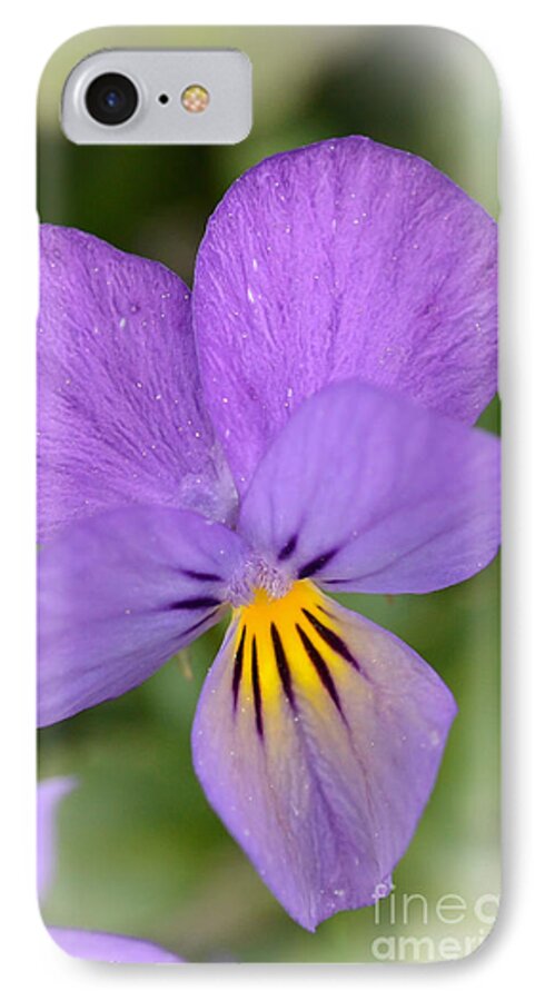Flowers iPhone 8 Case featuring the photograph Flowers That Smile by Kerri Farley