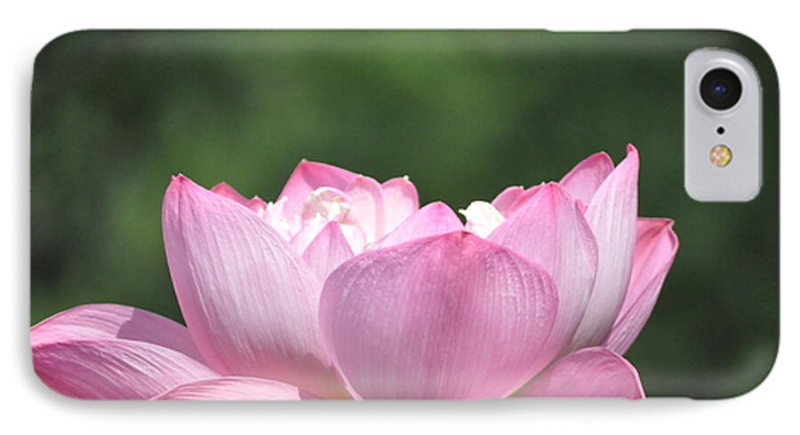 Lotus iPhone 8 Case featuring the photograph Flowing Lotus by Nona Kumah
