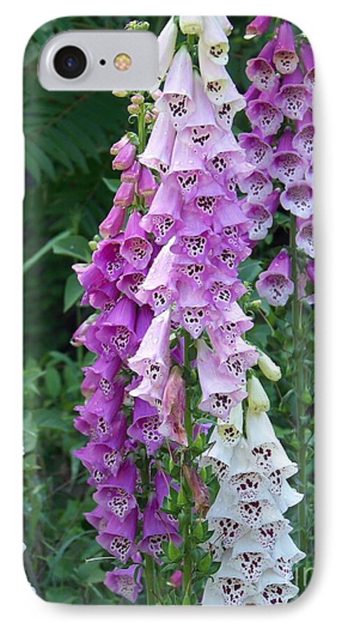 Flower Canvas Prints iPhone 8 Case featuring the photograph Foxglove After The Rains by Eunice Miller
