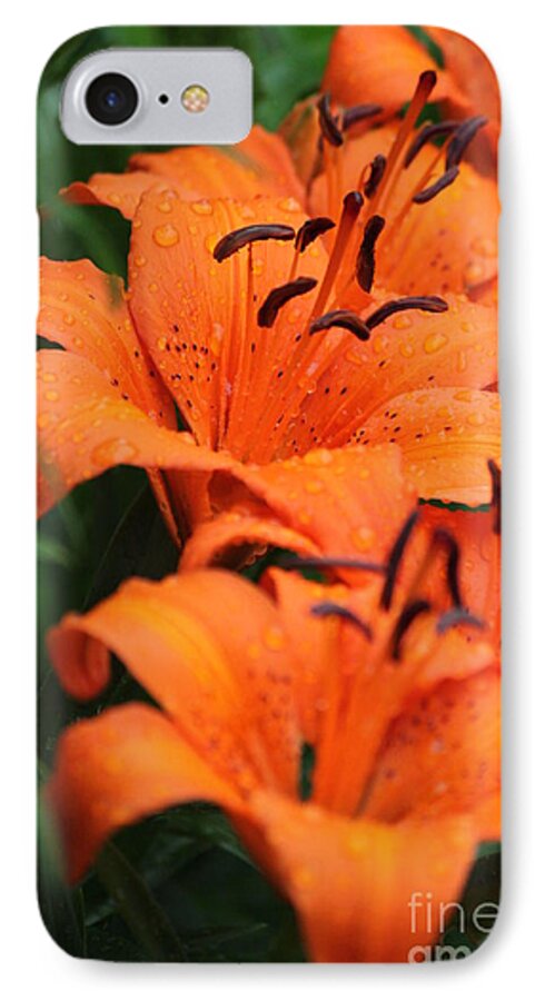 Orange iPhone 8 Case featuring the photograph Freshly showered Tiger Lilys by Jennifer E Doll