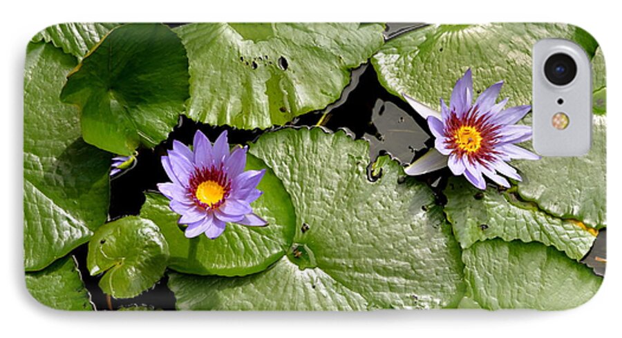 Pond Flowers iPhone 8 Case featuring the photograph Frog Heaven by Gregory Merlin Brown