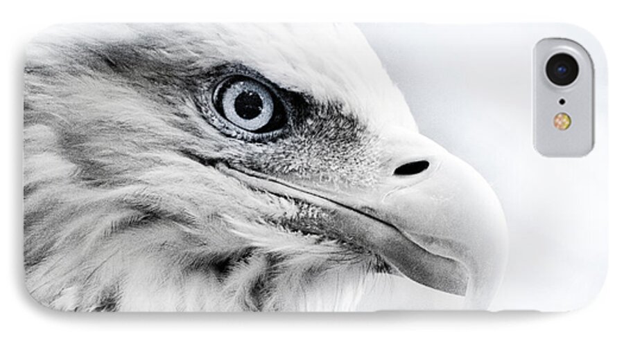 Eagle iPhone 8 Case featuring the photograph Frosty Eagle by Shane Holsclaw