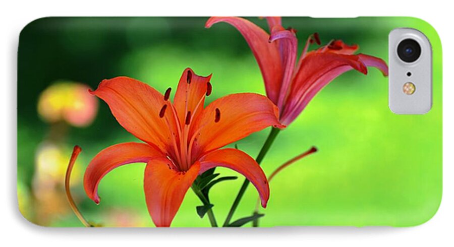 Lily iPhone 8 Case featuring the photograph Garden Lilies by Phillip Garcia