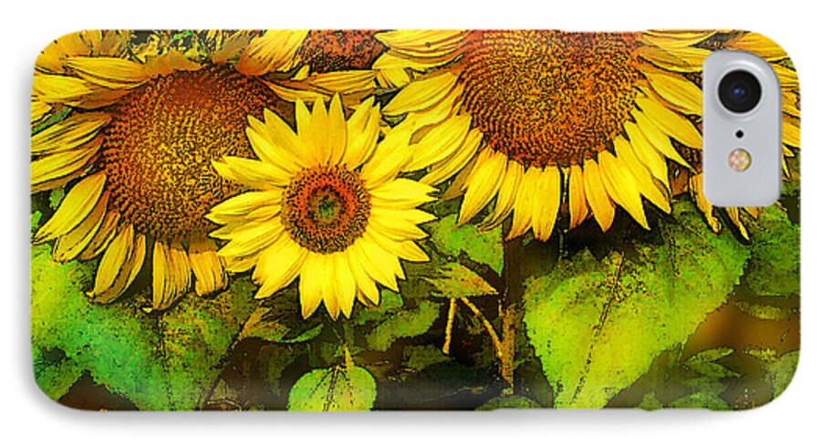 Art iPhone 8 Case featuring the photograph Giants Sunflowers by Gina Signore