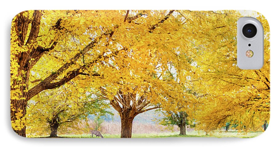 Deer iPhone 8 Case featuring the photograph Golden Autumn by Darren Fisher