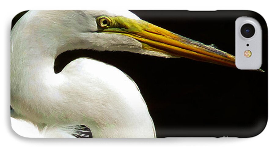 White Egret iPhone 8 Case featuring the photograph Golden Eye by Susan Duda