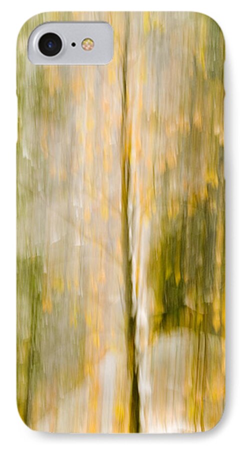 Trees iPhone 8 Case featuring the photograph Golden Falls by Bill Gallagher