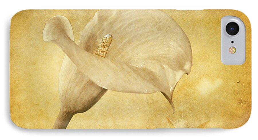 Cala Lily iPhone 8 Case featuring the photograph Golden Glow Cala Lily by Shirley Mangini