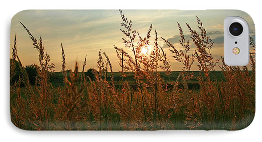  Sunrise iPhone 8 Case featuring the photograph Good Morning Sunshine by Shirley Heier