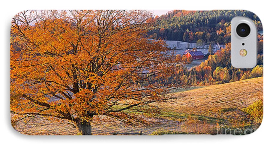 Fall iPhone 8 Case featuring the photograph Good Morning Vermont by Alan L Graham