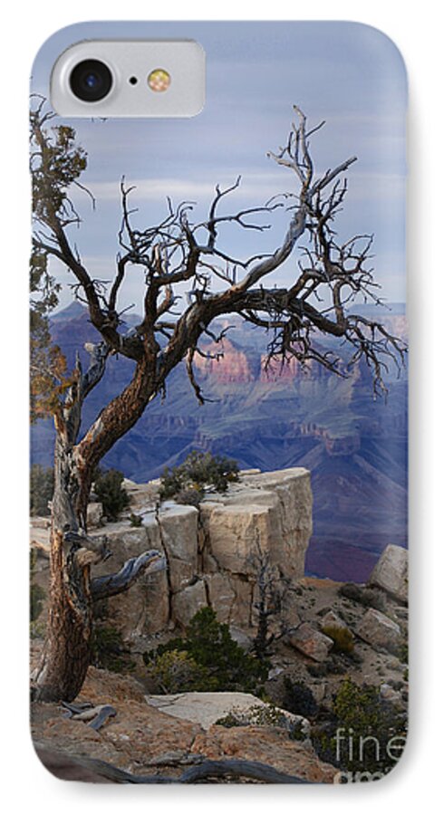 Grand Canyon iPhone 8 Case featuring the photograph Grand Canyon Overlook by Barbara R MacPhail