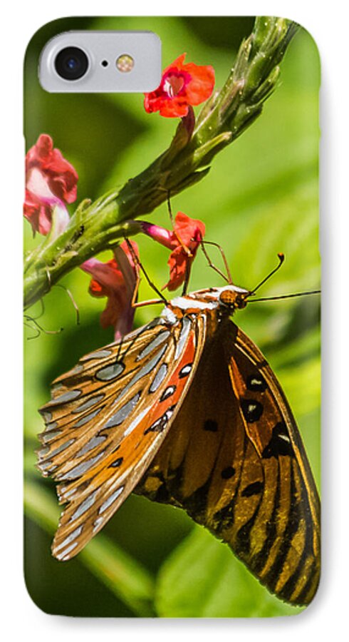 Butterfly iPhone 8 Case featuring the photograph Hanging off the side by Jane Luxton
