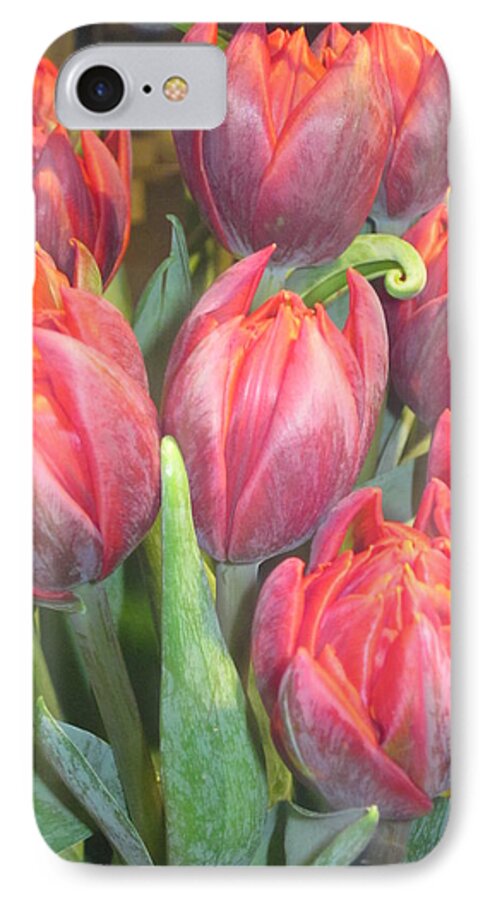 Flowerromance iPhone 8 Case featuring the photograph Hazardous beauty by Rosita Larsson