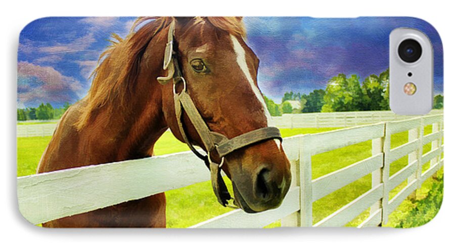 Texture iPhone 8 Case featuring the photograph Hello From the Bluegrass State by Darren Fisher