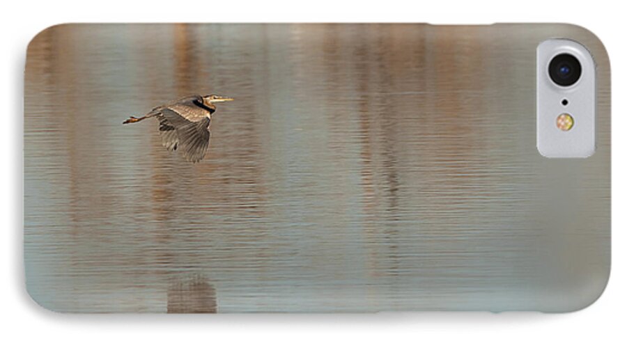 Great Blue Heron iPhone 8 Case featuring the photograph Heron in Flight by Bon and Jim Fillpot