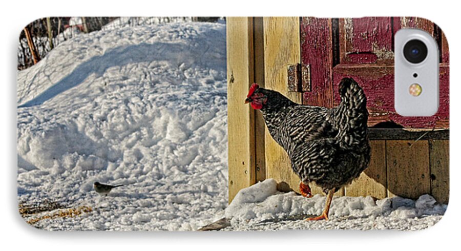 Bird iPhone 8 Case featuring the photograph Hey Are You Eating My Scratch by Denise Romano