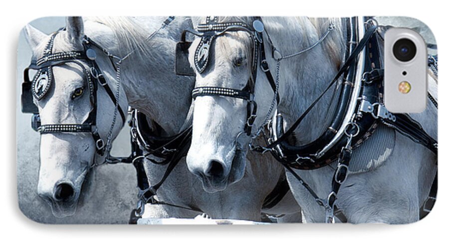 Horses iPhone 8 Case featuring the digital art Homeward Bound by Mary Almond