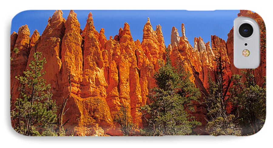 Bryce Canyon iPhone 8 Case featuring the photograph Hoodoos Along the Trail by Robert Bales