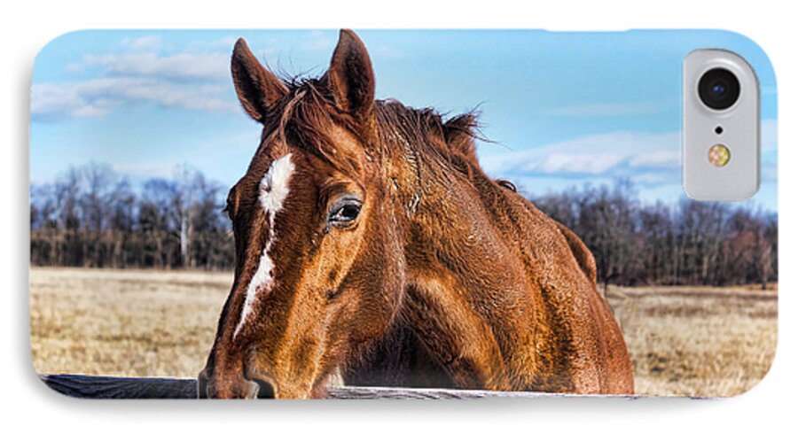 Photo iPhone 8 Case featuring the photograph Horse Country by M Three Photos