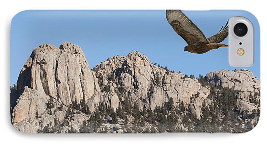 Hawk iPhone 8 Case featuring the photograph I Live in High Country by Bon and Jim Fillpot
