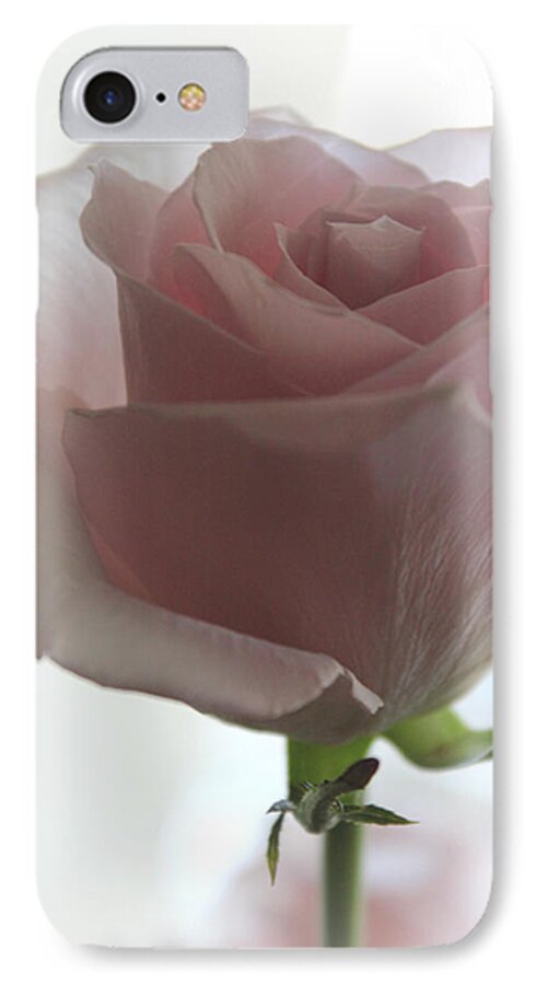 Roses iPhone 8 Case featuring the photograph If I Am His by The Art Of Marilyn Ridoutt-Greene