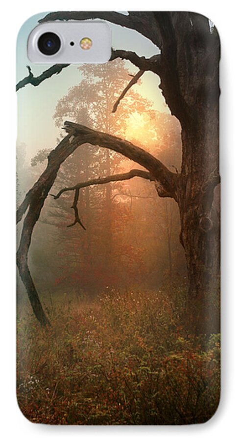 Landscape iPhone 8 Case featuring the photograph In the Stillness by Rob Blair