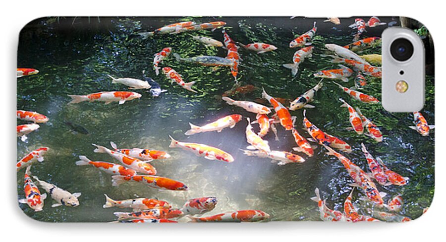 Japanese Koi Carp iPhone 8 Case featuring the photograph Into the light by Scott Carruthers