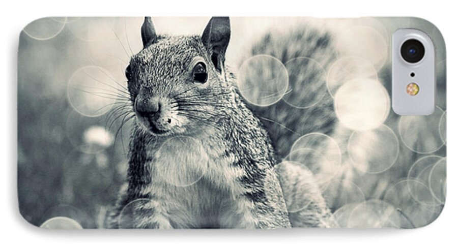 Squirrel iPhone 8 Case featuring the photograph It's A Squirrel's World Too by Aurelio Zucco
