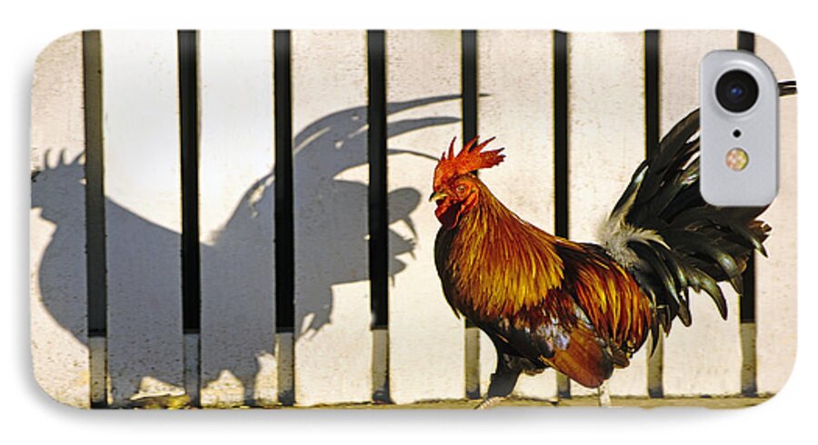 Florida Keys iPhone 8 Case featuring the photograph Key West Rooster by Dennis Cox