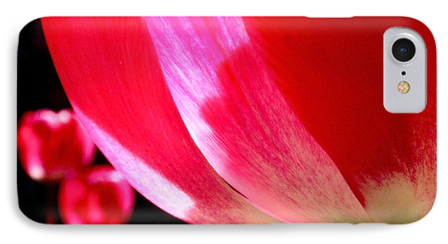 Tulips iPhone 8 Case featuring the photograph Kissing by Rona Black