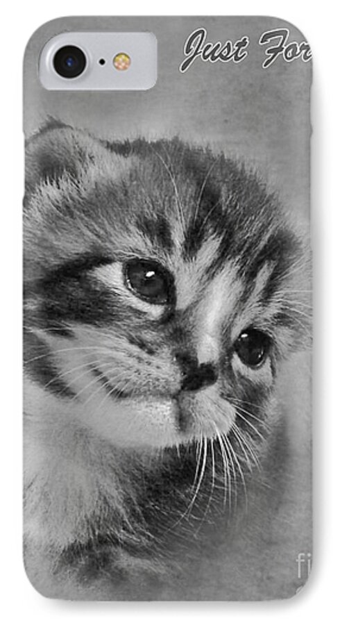 Kitten iPhone 8 Case featuring the photograph Kitten Just For You by Terri Waters