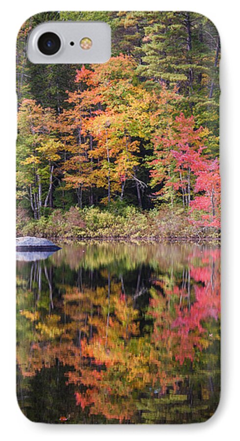Leaves iPhone 8 Case featuring the photograph Lake Chocorua Moment of Reflection by Karen Stephenson