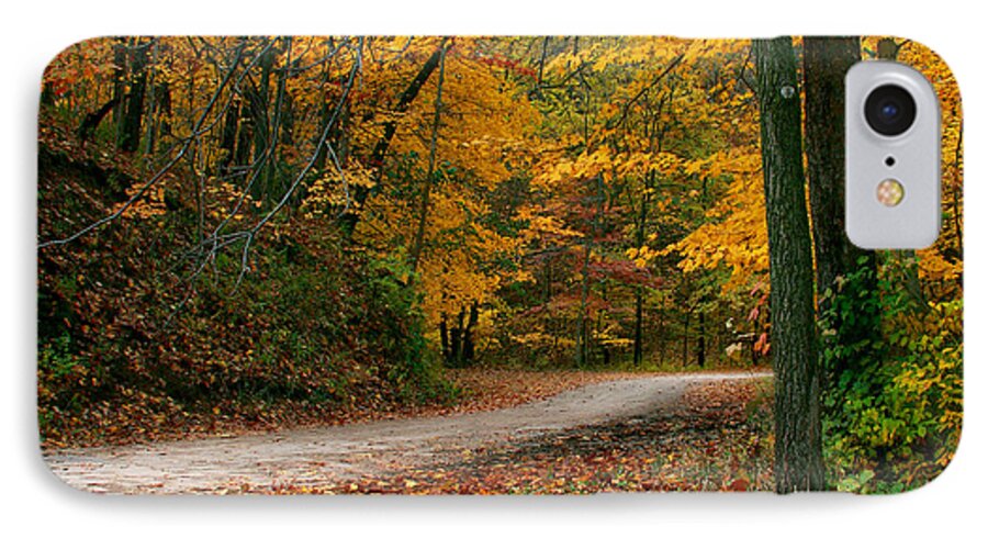 Landscape iPhone 8 Case featuring the photograph Lane in Fall by Virginia Folkman